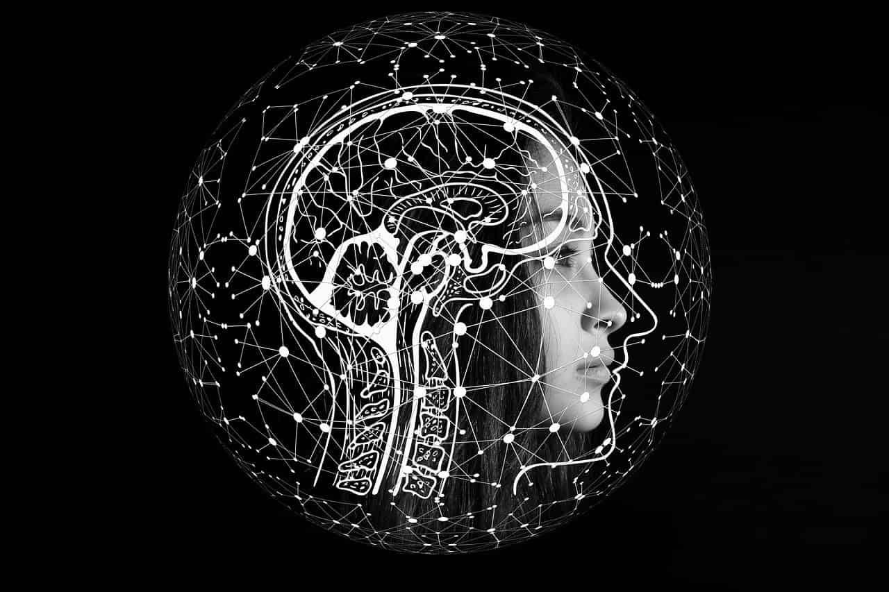 Inteligencia y procesos cognitivos: Todo lo que debes saber